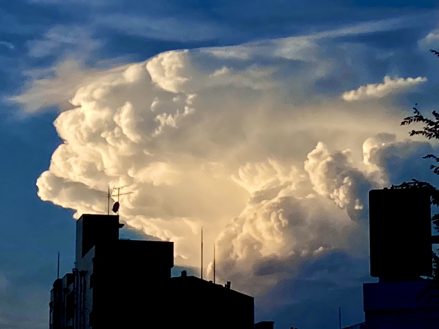 採用ページ、採用拠点